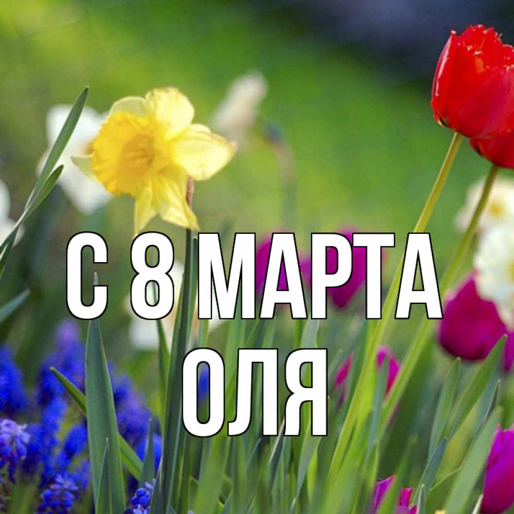 Картинка С 8 МАРТА, оля