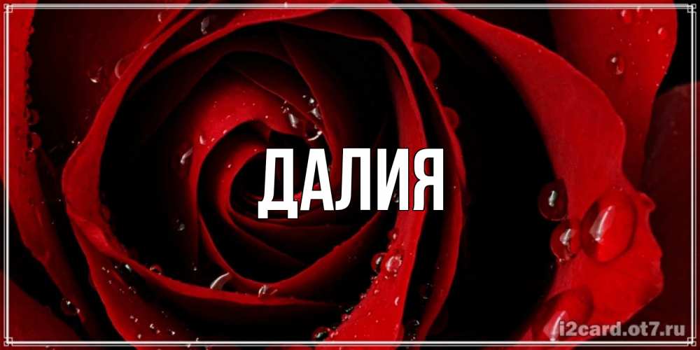 Картинка  с именем , Далия