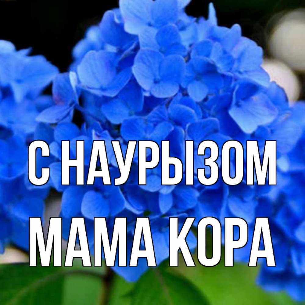 Открытка на каждый день с именем, Мама-Кора С наурызом синие цветы Прикольная открытка с пожеланием онлайн скачать бесплатно 