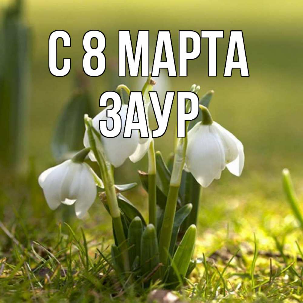 Картинка С 8 марта, Заур