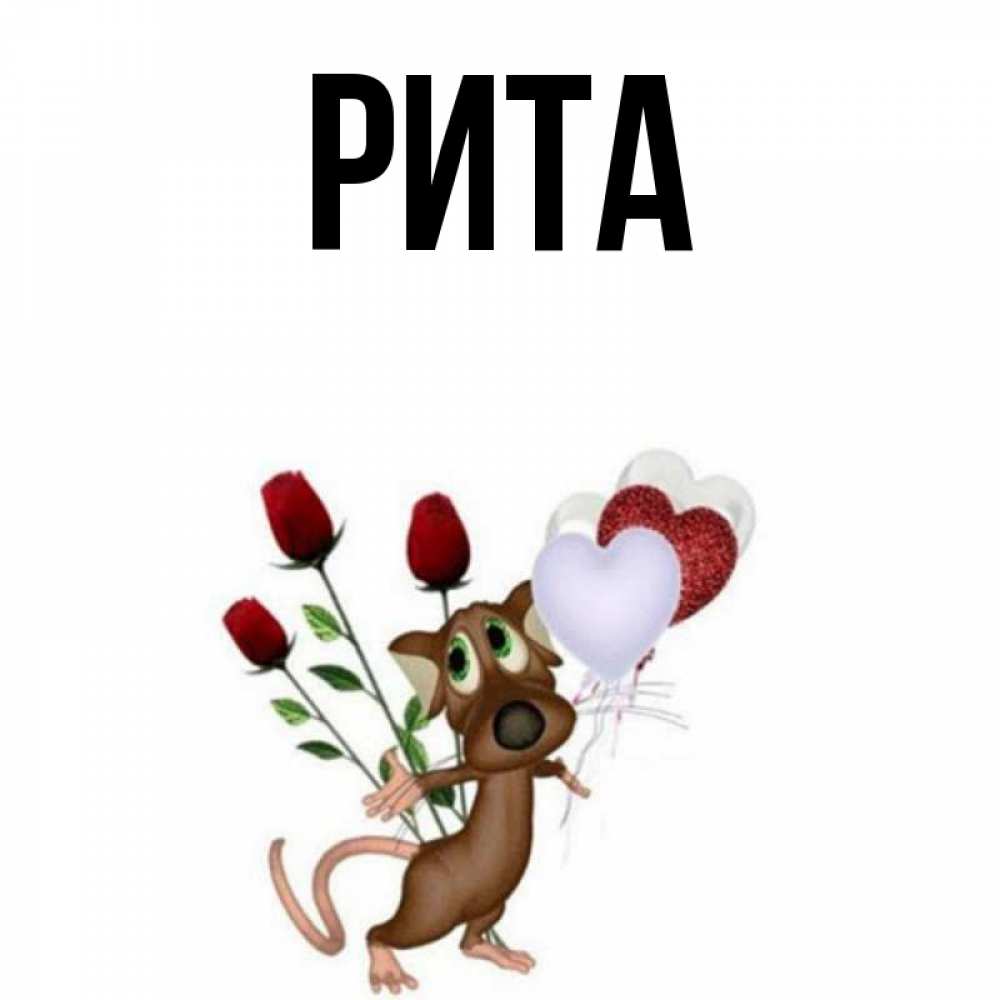 Rita c. Rita c