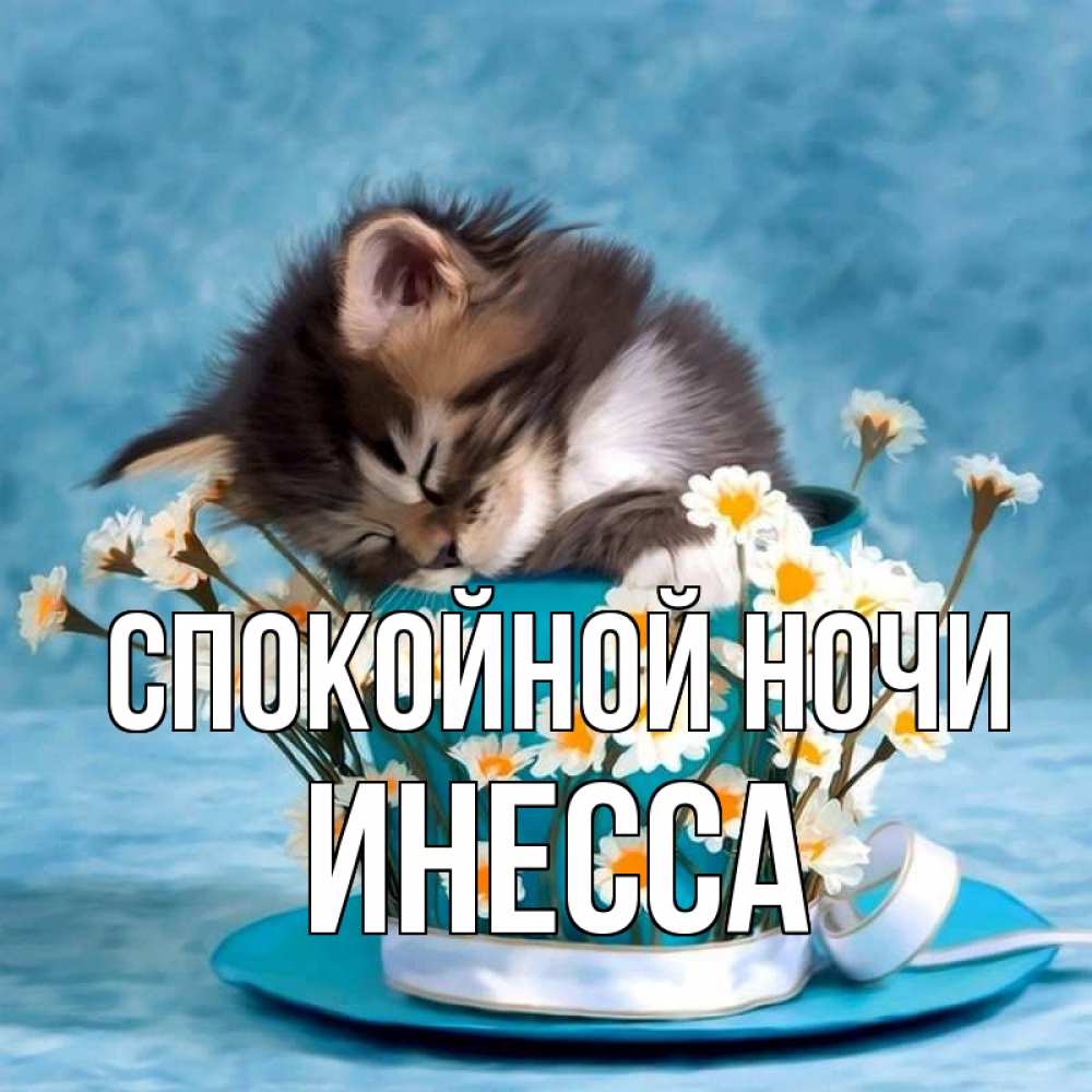 Открытка на каждый день с именем, Инесса Спокойной ночи котенок спит в кружке с блюдцем Прикольная открытка с пожеланием онлайн скачать бесплатно 