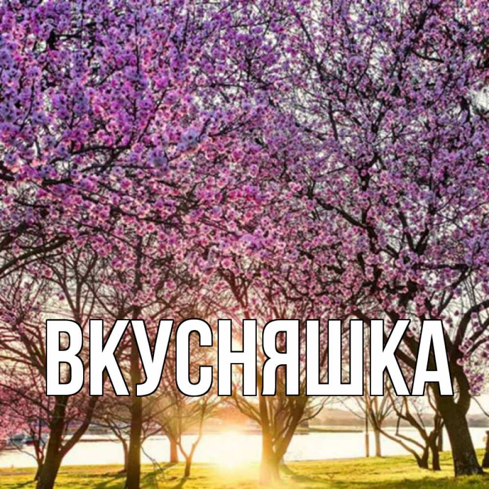 Открытка на каждый день с именем, Вкусняшка Главная праздник весны наурыз Прикольная открытка с пожеланием онлайн скачать бесплатно 