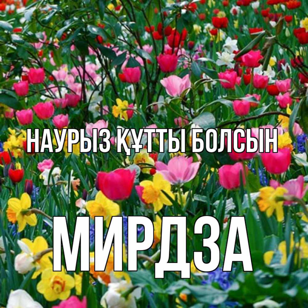 Открытка на каждый день с именем, Мирдза Наурыз құтты болсын с наурызом поздравления для женщины Прикольная открытка с пожеланием онлайн скачать бесплатно 