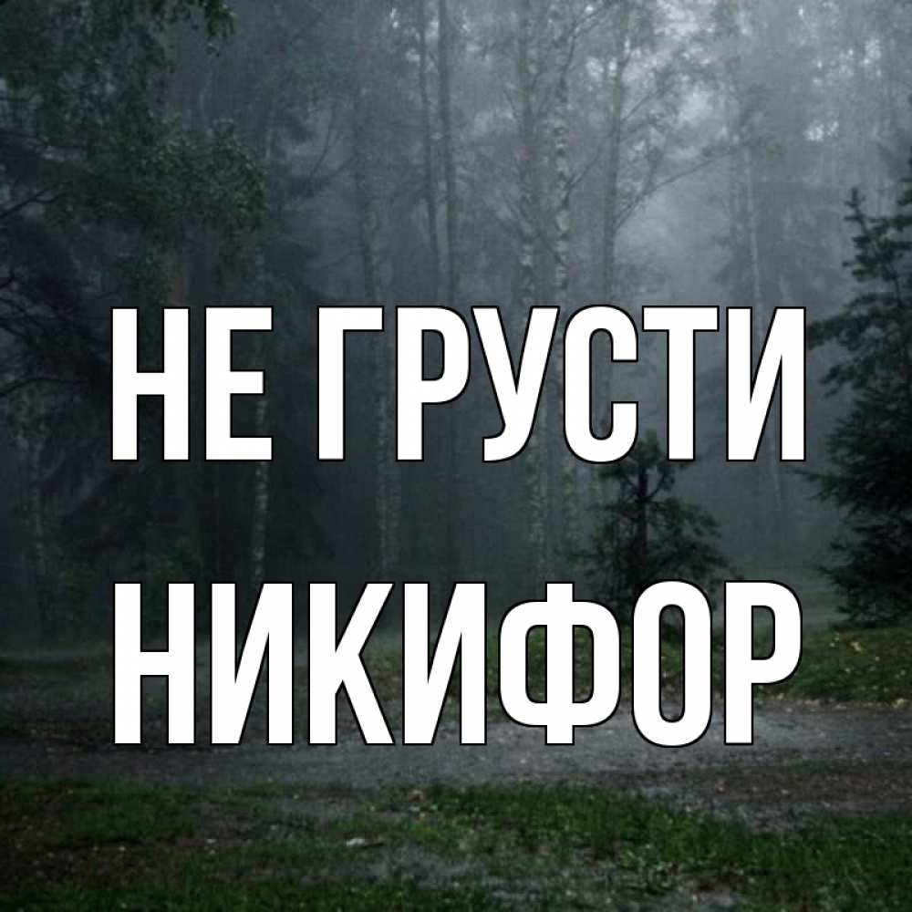 Открытка на каждый день с именем, Никифор Не грусти осень Прикольная открытка с пожеланием онлайн скачать бесплатно 