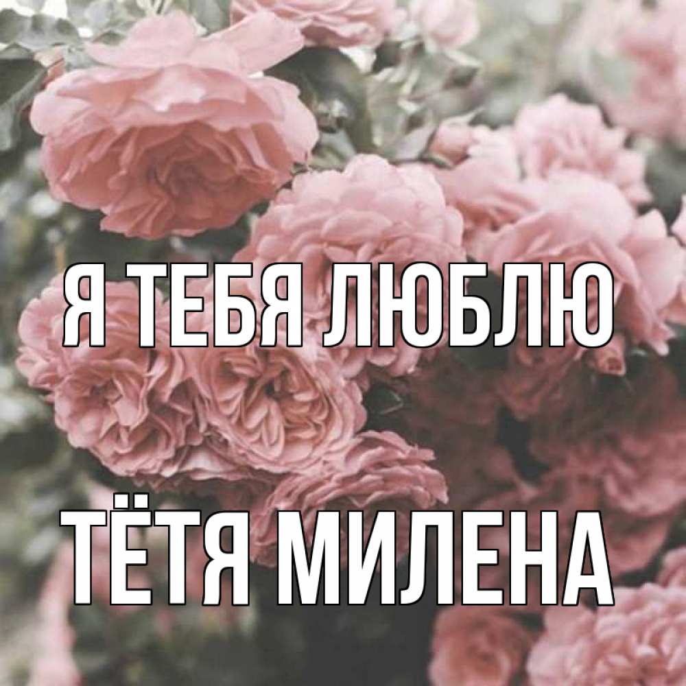 Открытка на каждый день с именем, Тётя-Милена Я тебя люблю розы 3 Прикольная открытка с пожеланием онлайн скачать бесплатно 