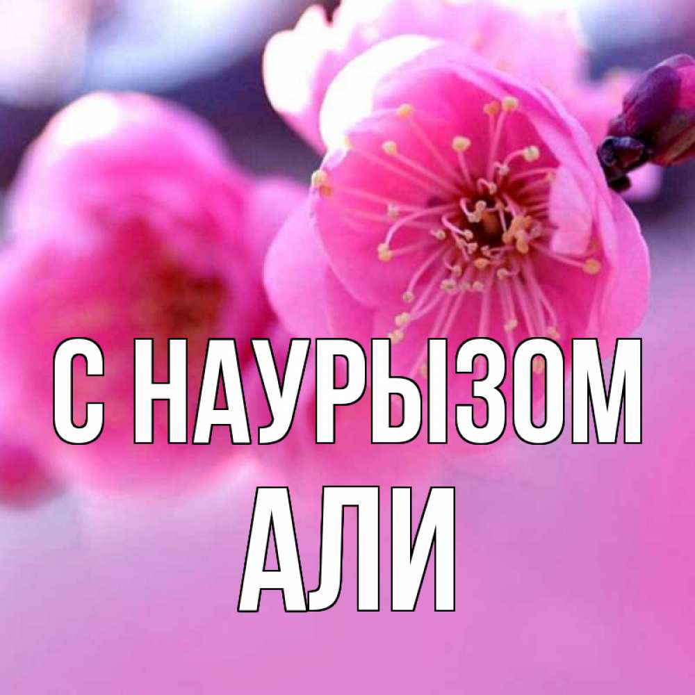 Открытка на каждый день с именем, Али С наурызом международный женский день Прикольная открытка с пожеланием онлайн скачать бесплатно 