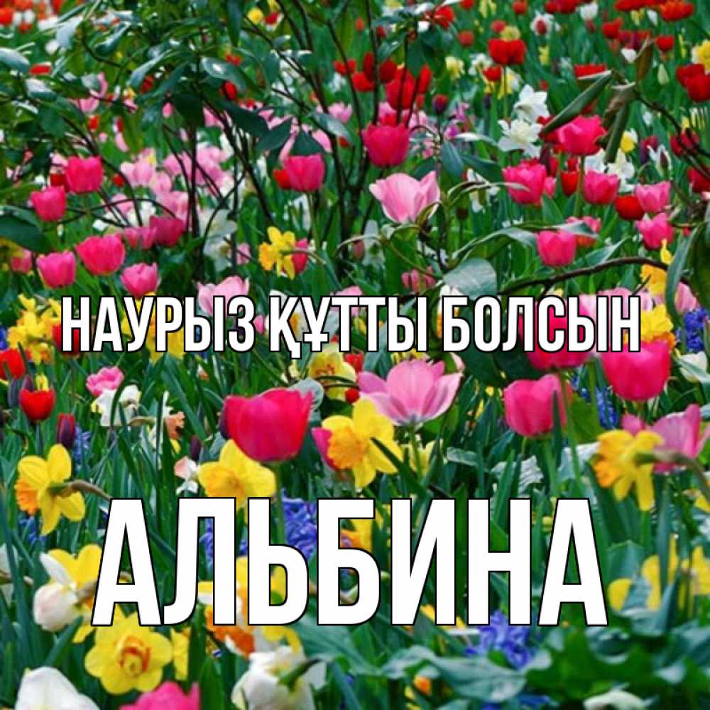 Открытка на каждый день с именем, Альбина Наурыз құтты болсын с наурызом поздравления для женщины Прикольная открытка с пожеланием онлайн скачать бесплатно 