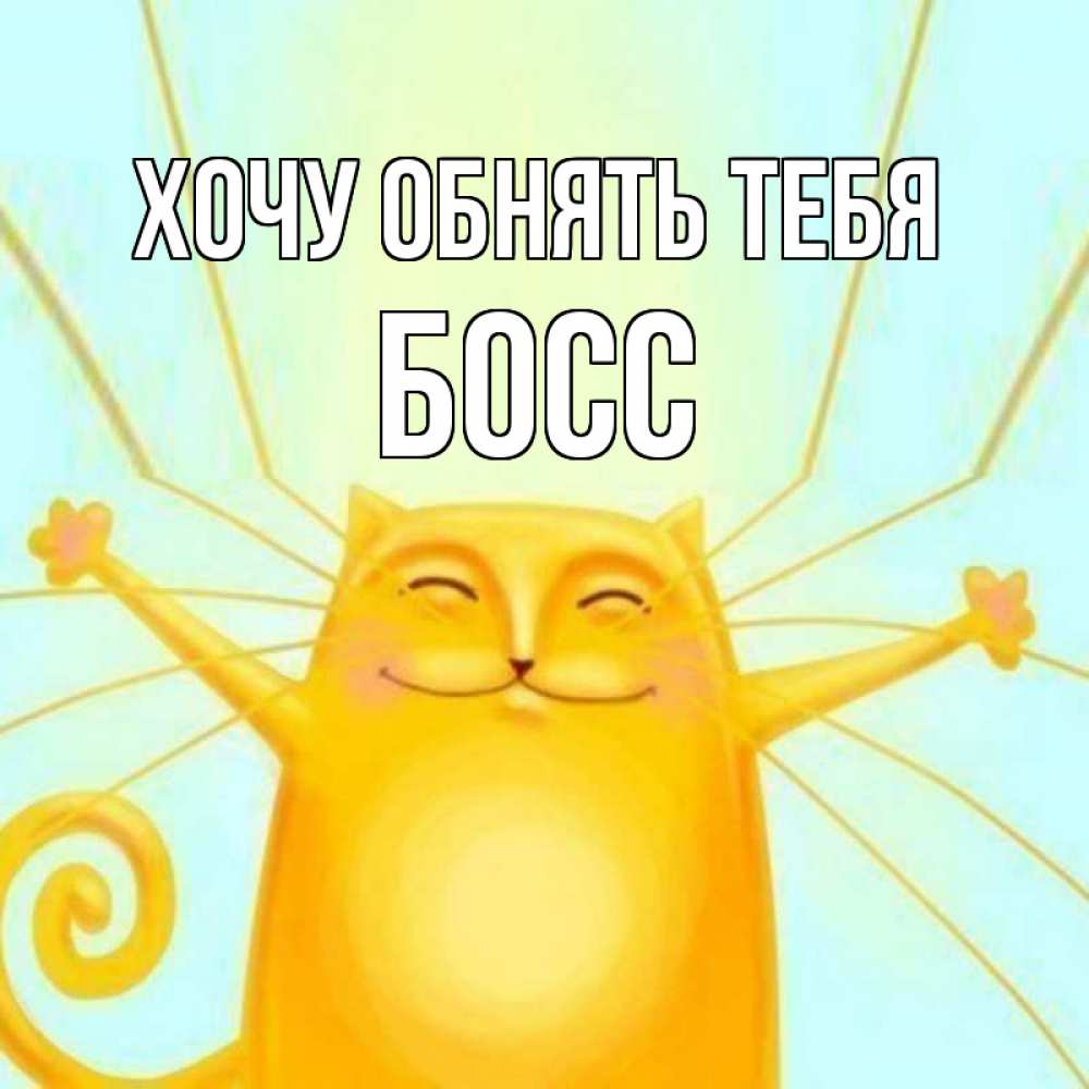 Открытка на каждый день с именем, Босс Хочу обнять тебя солнечный обнимашечный кот Прикольная открытка с пожеланием онлайн скачать бесплатно 