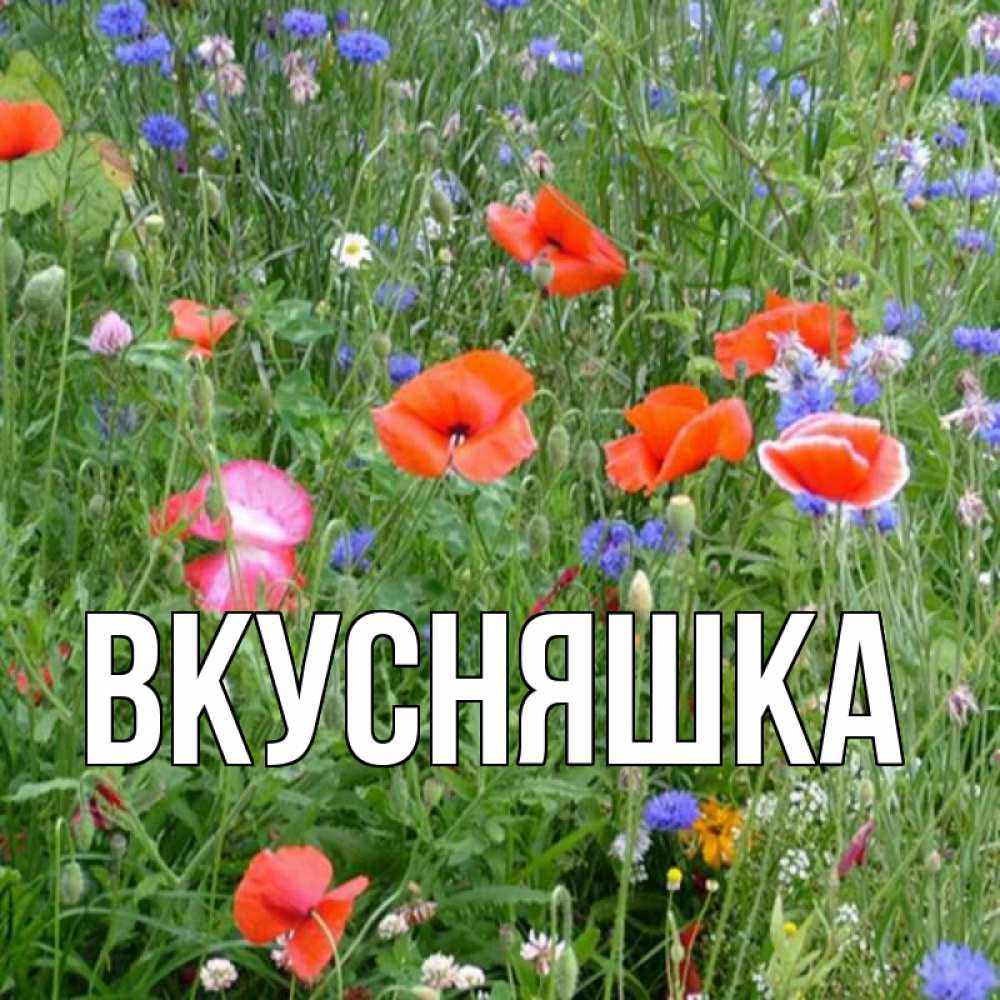 Открытка на каждый день с именем, Вкусняшка Главная праздник весны наурыз супер открытка Прикольная открытка с пожеланием онлайн скачать бесплатно 