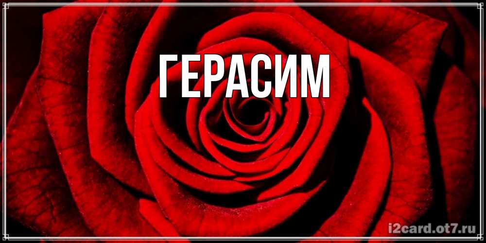 Открытка на каждый день с именем, Герасим Главная алая роза Прикольная открытка с пожеланием онлайн скачать бесплатно 