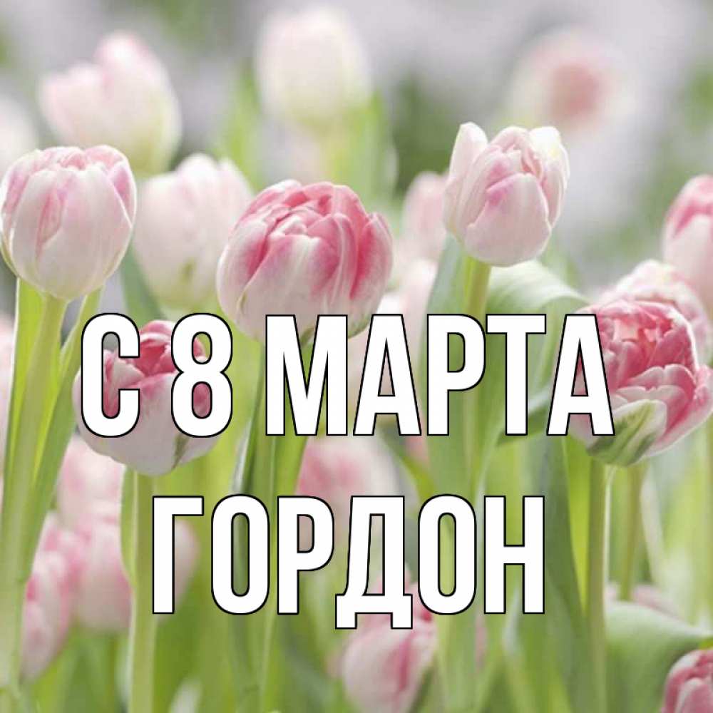 Открытка на каждый день с именем, Гордон С 8 МАРТА цветы Прикольная открытка с пожеланием онлайн скачать бесплатно 