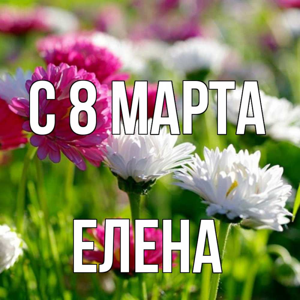 Открытка на каждый день с именем, Елена С 8 МАРТА международный женский день 1 Прикольная открытка с пожеланием онлайн скачать бесплатно 