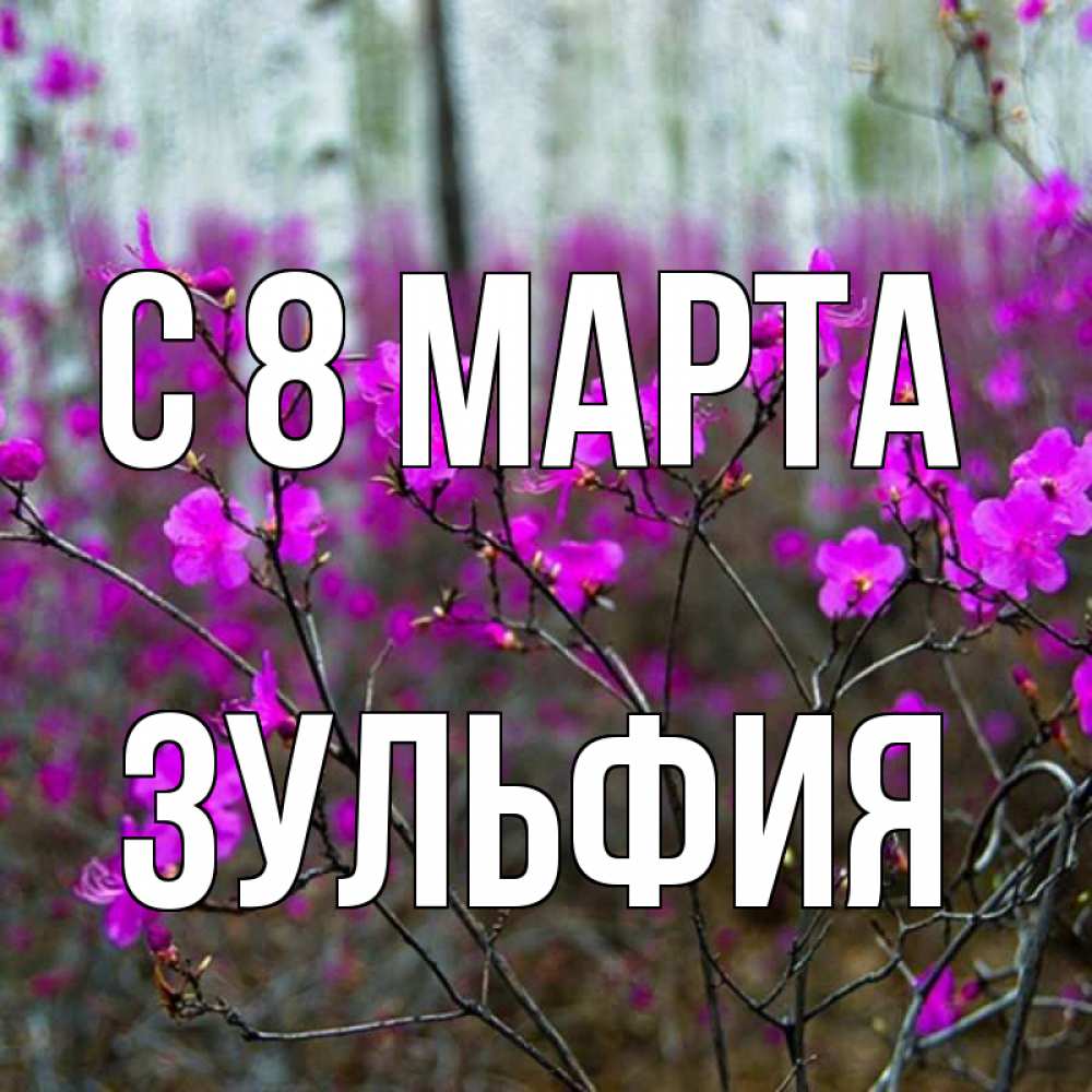 Открытка на каждый день с именем, Зульфия С 8 МАРТА дикие цветы Прикольная открытка с пожеланием онлайн скачать бесплатно 