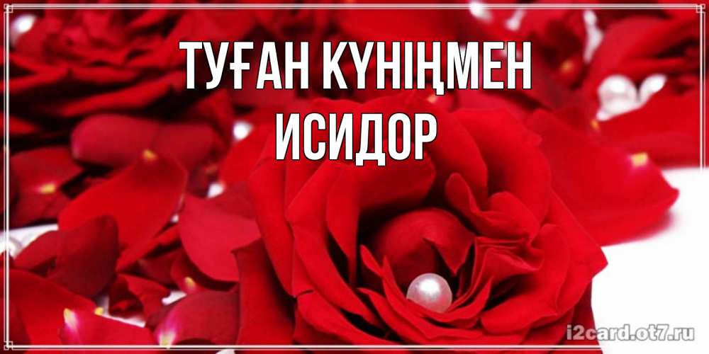Открытка на каждый день с именем, Исидор Туған күніңмен роза с жемчужиной на открытке для любимых Прикольная открытка с пожеланием онлайн скачать бесплатно 