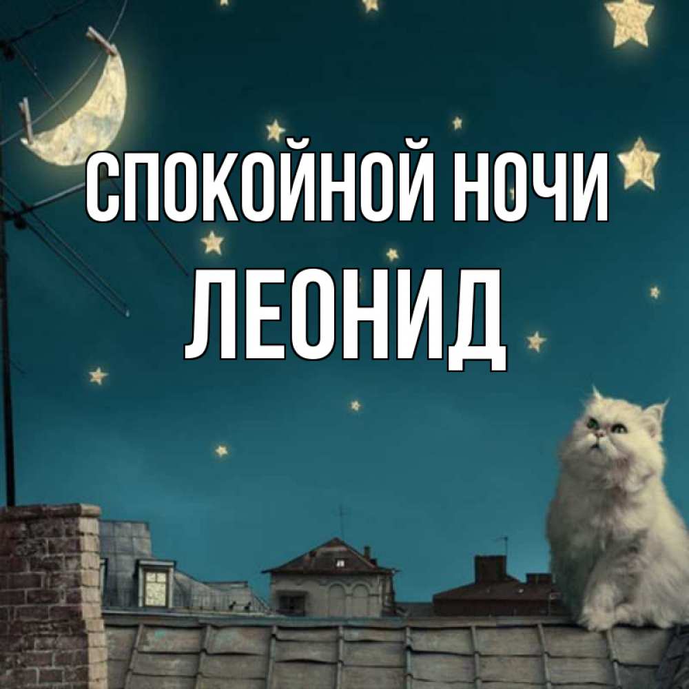 Открытка на каждый день с именем, Леонид Спокойной ночи белый кот сидит на крыше Прикольная открытка с пожеланием онлайн скачать бесплатно 