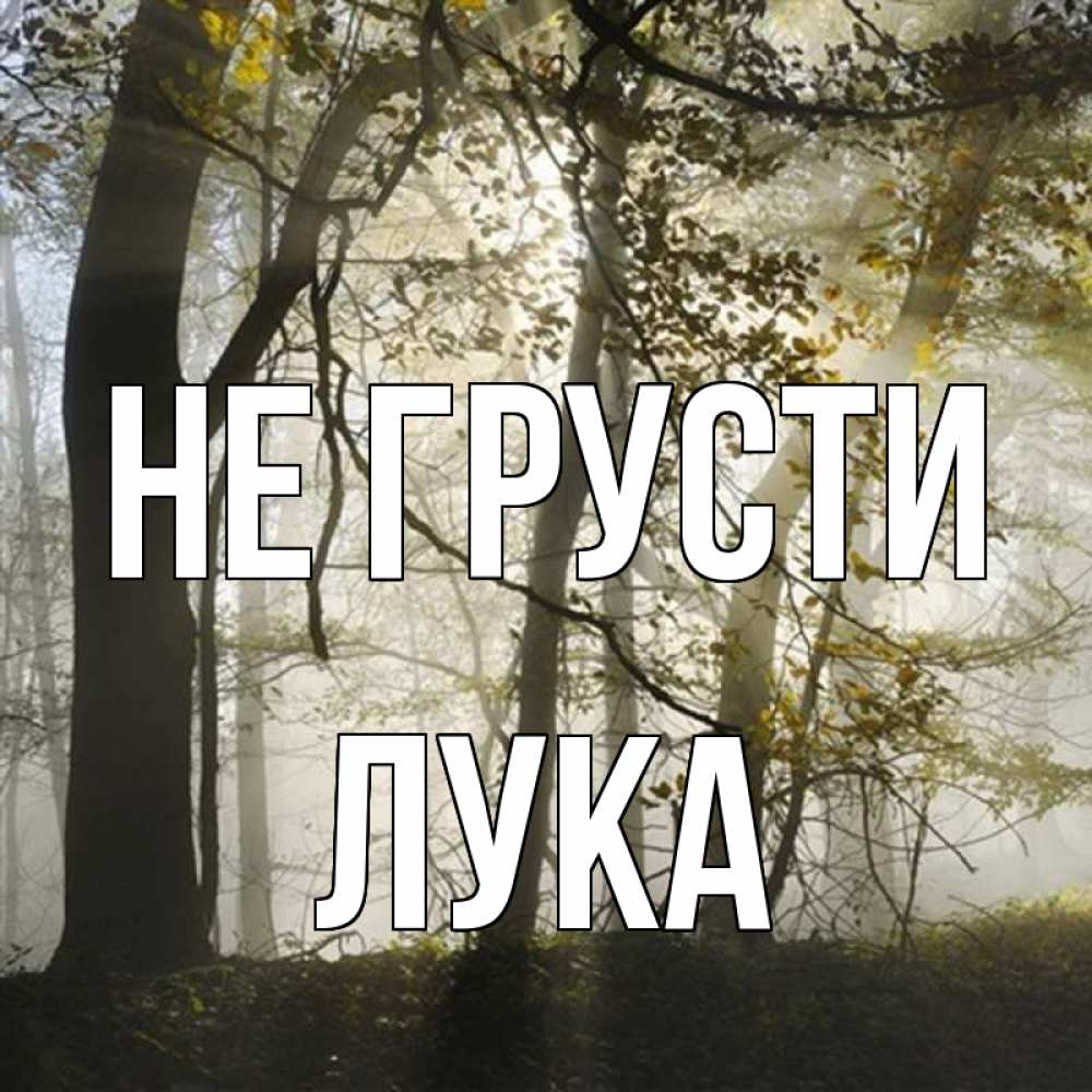 Открытка на каждый день с именем, Лука Не грусти лес и свет Прикольная открытка с пожеланием онлайн скачать бесплатно 