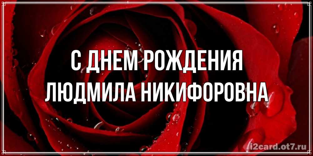 Открытка на каждый день с именем, Людмила-Никифоровна С днем рождения крупная бордовая роза Прикольная открытка с пожеланием онлайн скачать бесплатно 