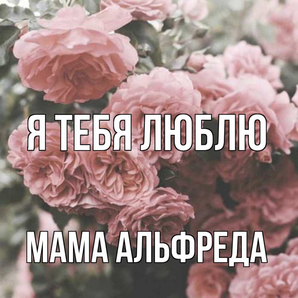 Открытка на каждый день с именем, Мама-Альфреда Я тебя люблю розы 3 Прикольная открытка с пожеланием онлайн скачать бесплатно 