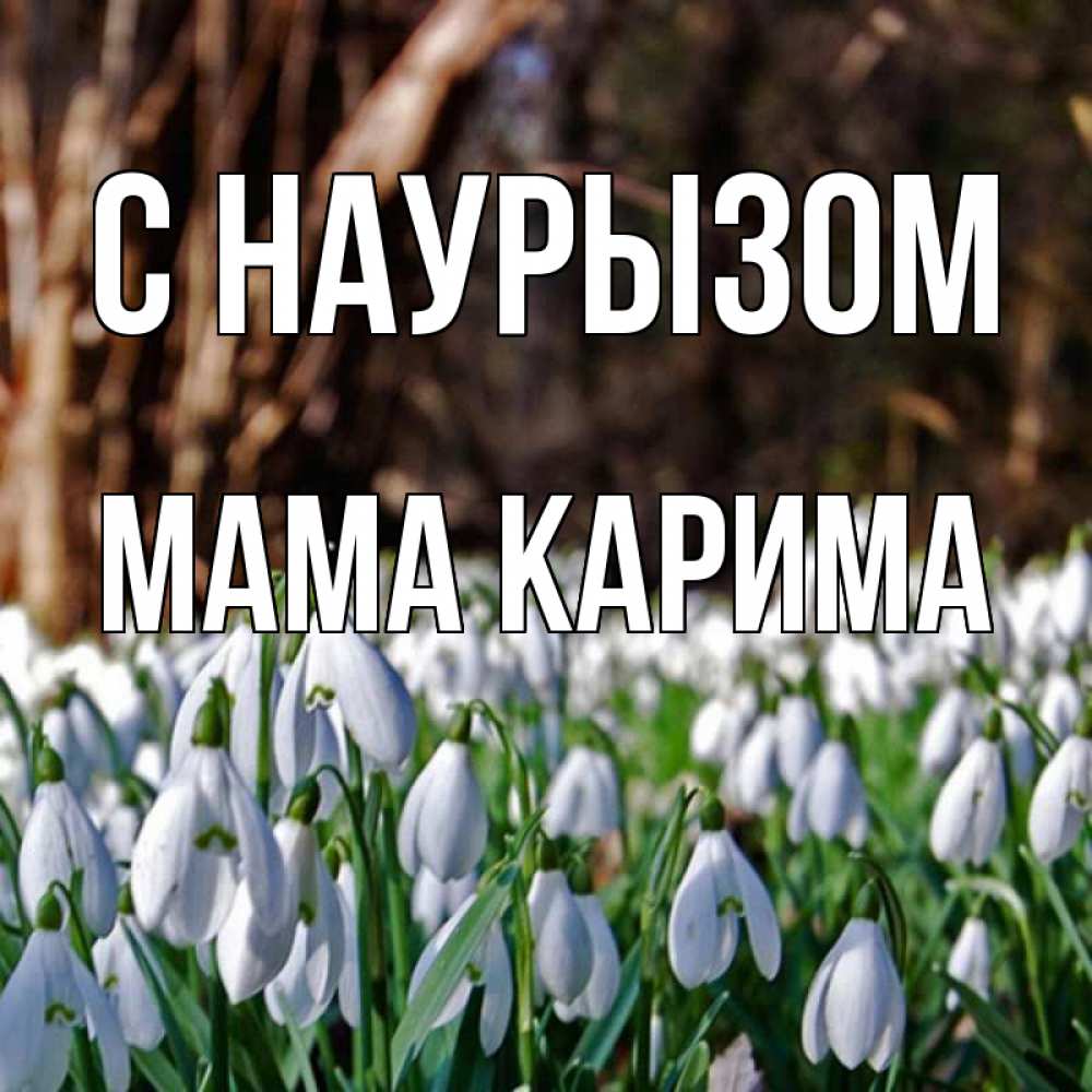 Открытка на каждый день с именем, Мама-Карима С наурызом с подснежниками 1 Прикольная открытка с пожеланием онлайн скачать бесплатно 