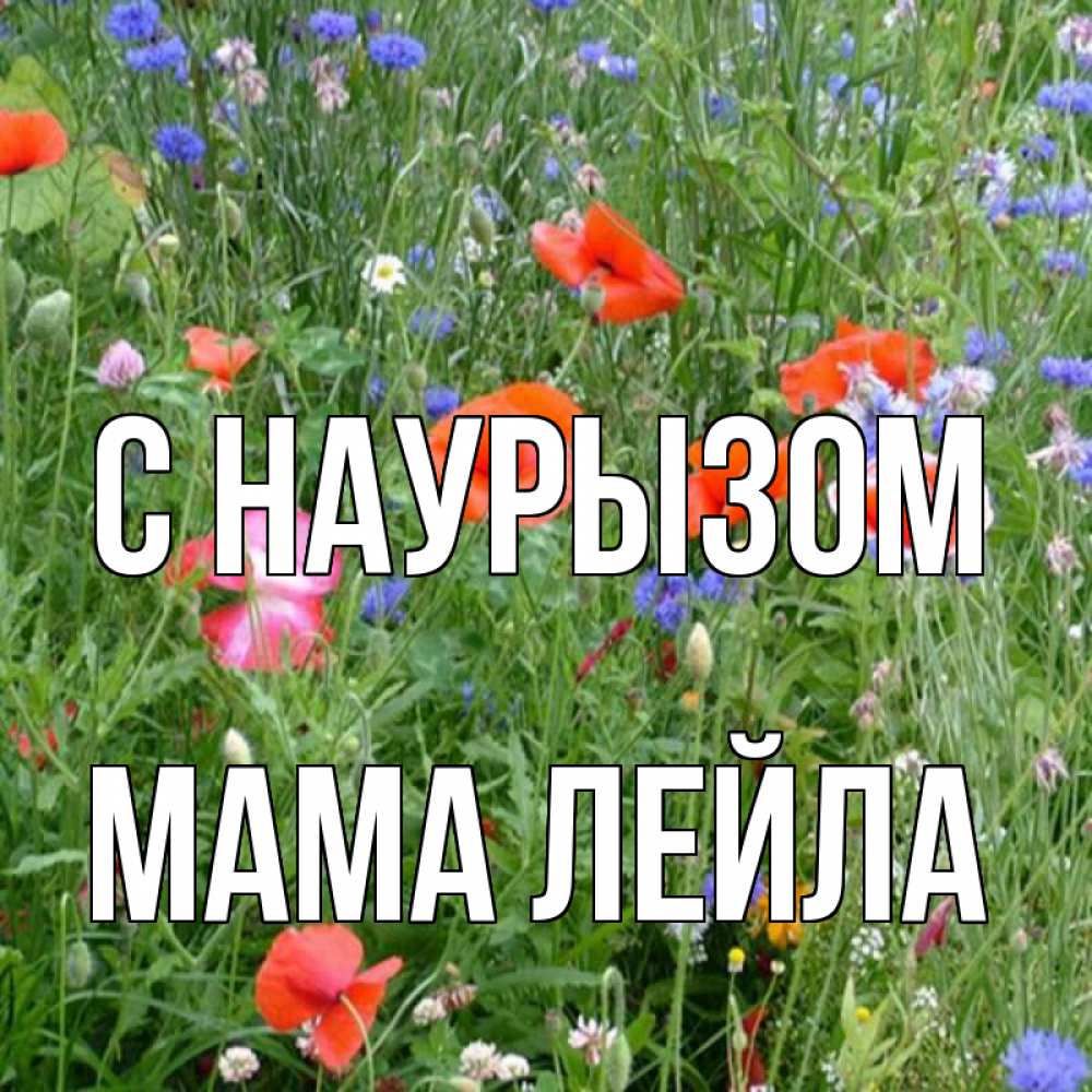 Открытка на каждый день с именем, Мама-Лейла С наурызом праздник весны наурыз супер открытка Прикольная открытка с пожеланием онлайн скачать бесплатно 