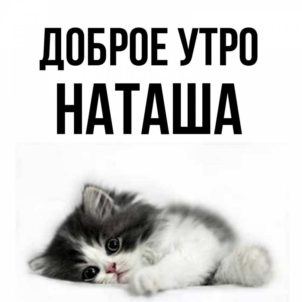 Открытка на каждый день с именем, Наташа Доброе утро кот лапки Прикольная открытка с пожеланием онлайн скачать бесплатно 