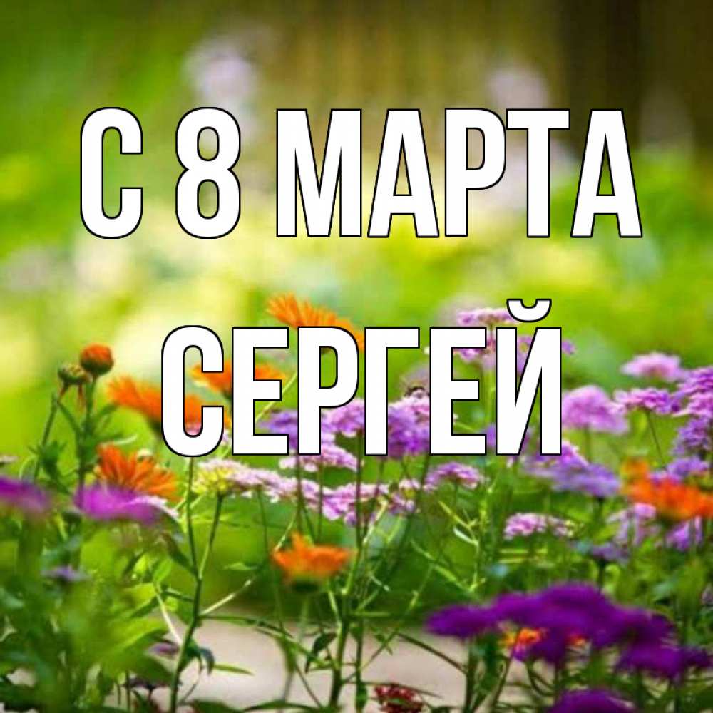 Открытка на каждый день с именем, Сергей С 8 МАРТА цветы Прикольная открытка с пожеланием онлайн скачать бесплатно 