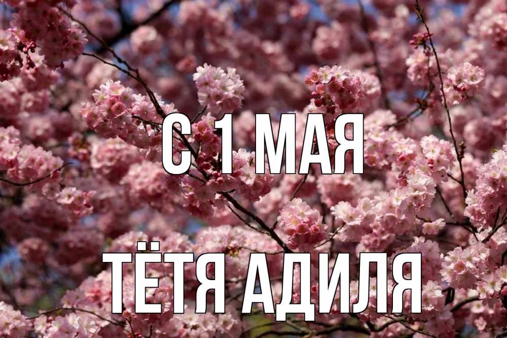 Открытка на каждый день с именем, Тётя-Адиля С 1 мая С 1 мая Прикольная открытка с пожеланием онлайн скачать бесплатно 