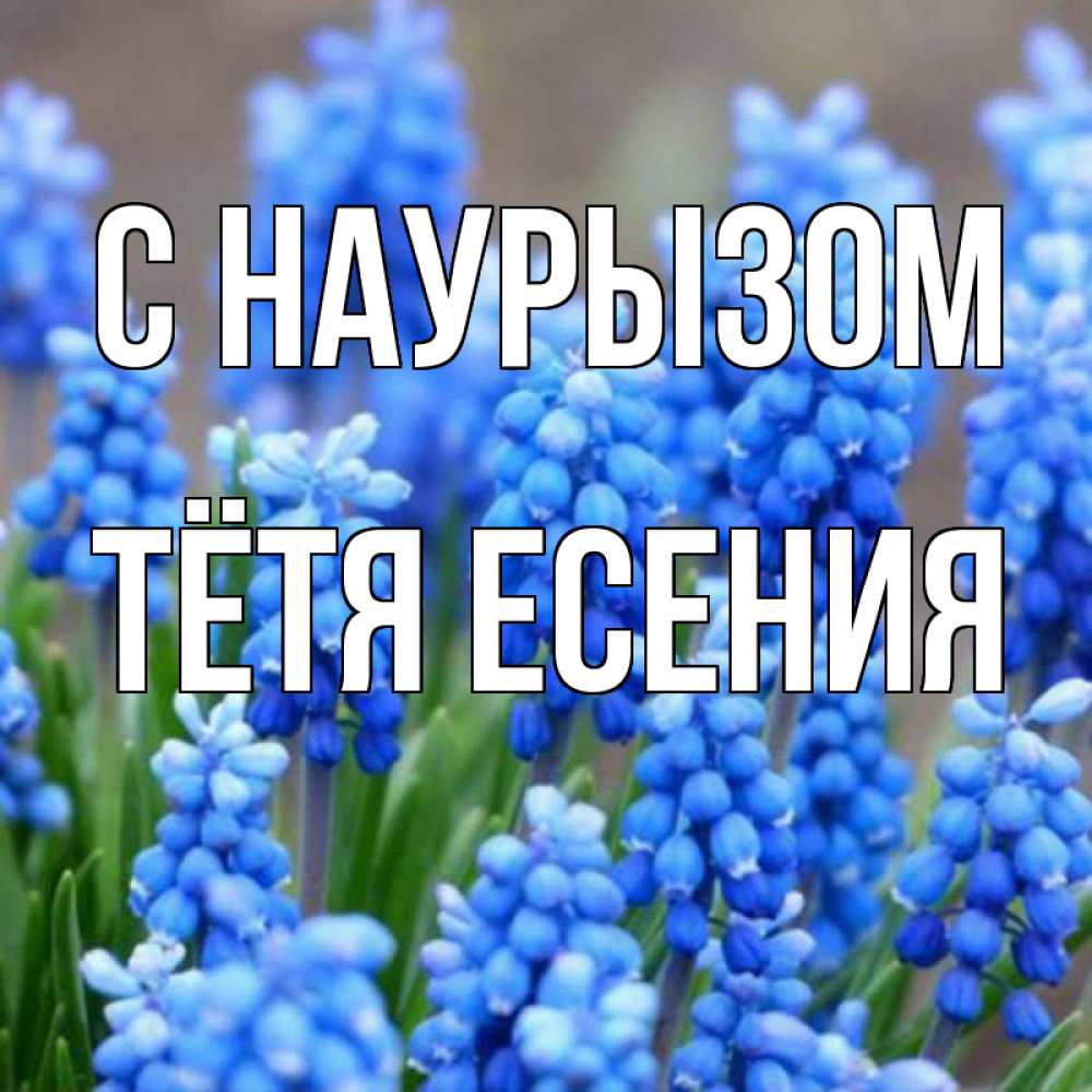 Открытка на каждый день с именем, Тётя-Есения С наурызом Поздравительная открытка для женщин с цветами на праздничную дату Прикольная открытка с пожеланием онлайн скачать бесплатно 