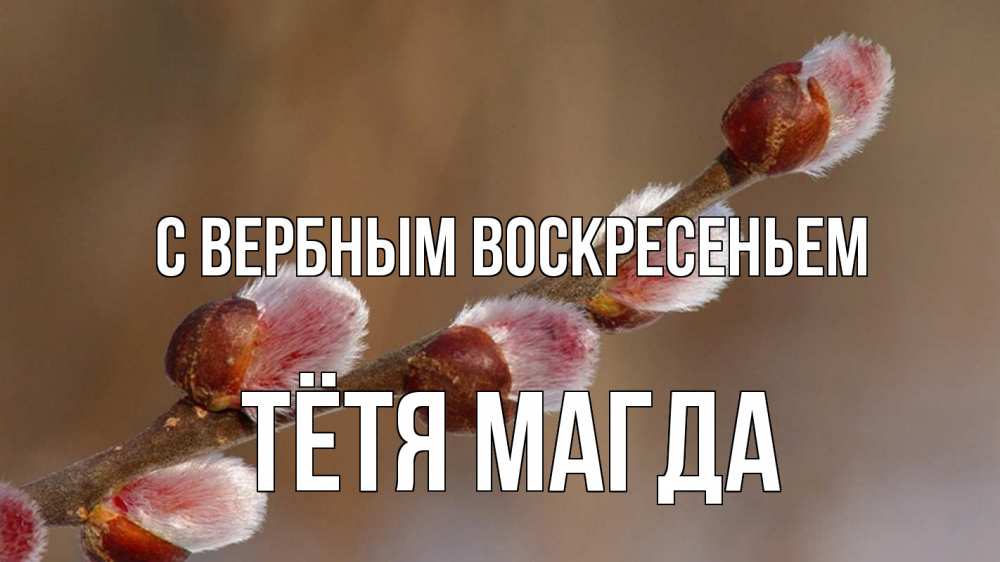 Открытка на каждый день с именем, Тётя-Магда С вербным воскресеньем верба Прикольная открытка с пожеланием онлайн скачать бесплатно 