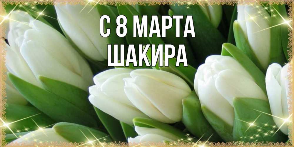 Открытка на каждый день с именем, Шакира С 8 МАРТА поздравляем с 8 марта Прикольная открытка с пожеланием онлайн скачать бесплатно 