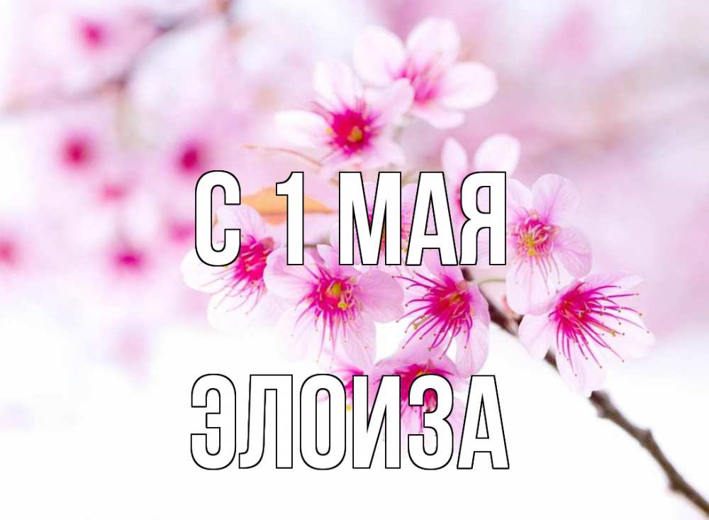 Открытка на каждый день с именем, Элоиза С 1 мая С 1 мая 2 Прикольная открытка с пожеланием онлайн скачать бесплатно 