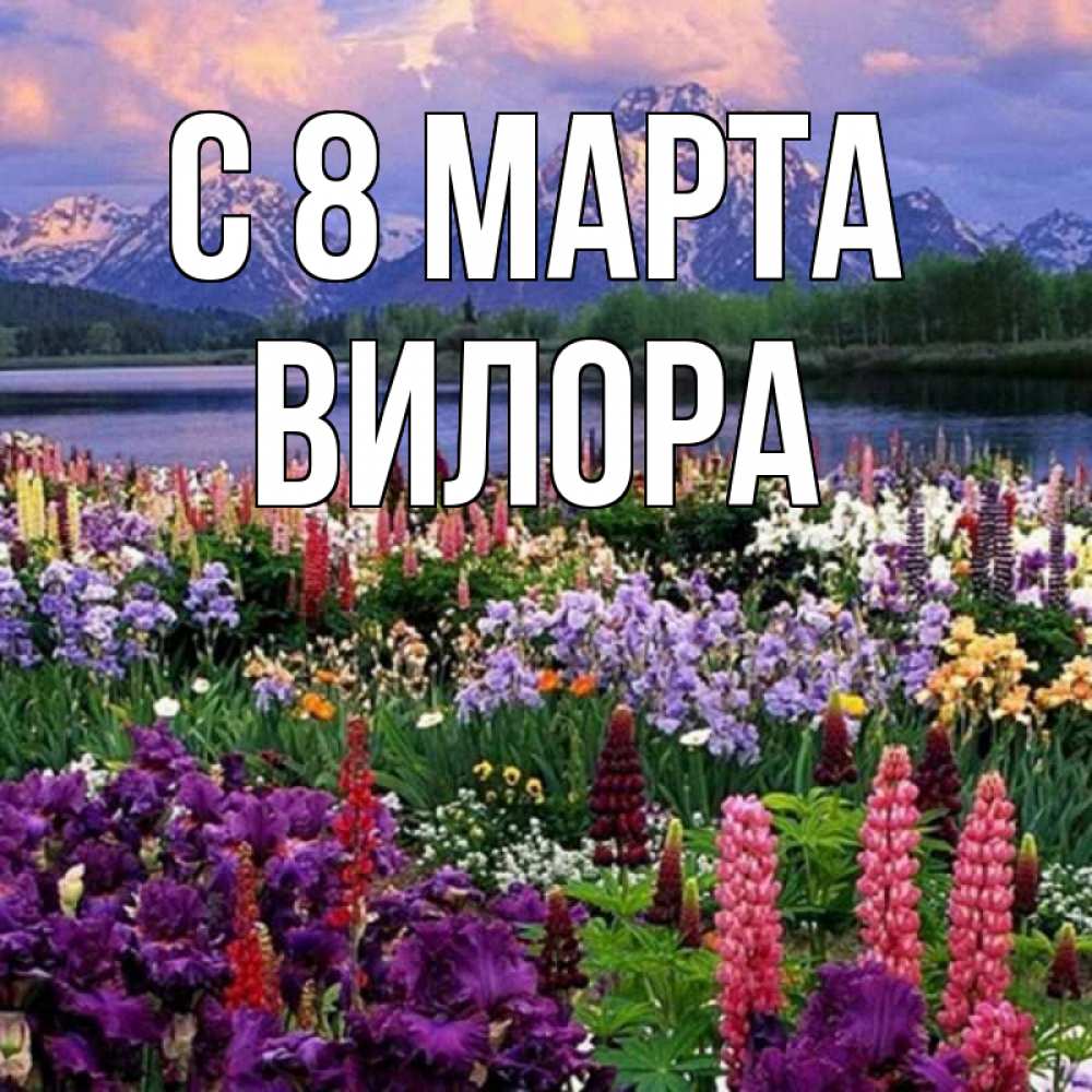 Открытка на каждый день с именем, Вилора С 8 марта международный женский день Прикольная открытка с пожеланием онлайн скачать бесплатно 