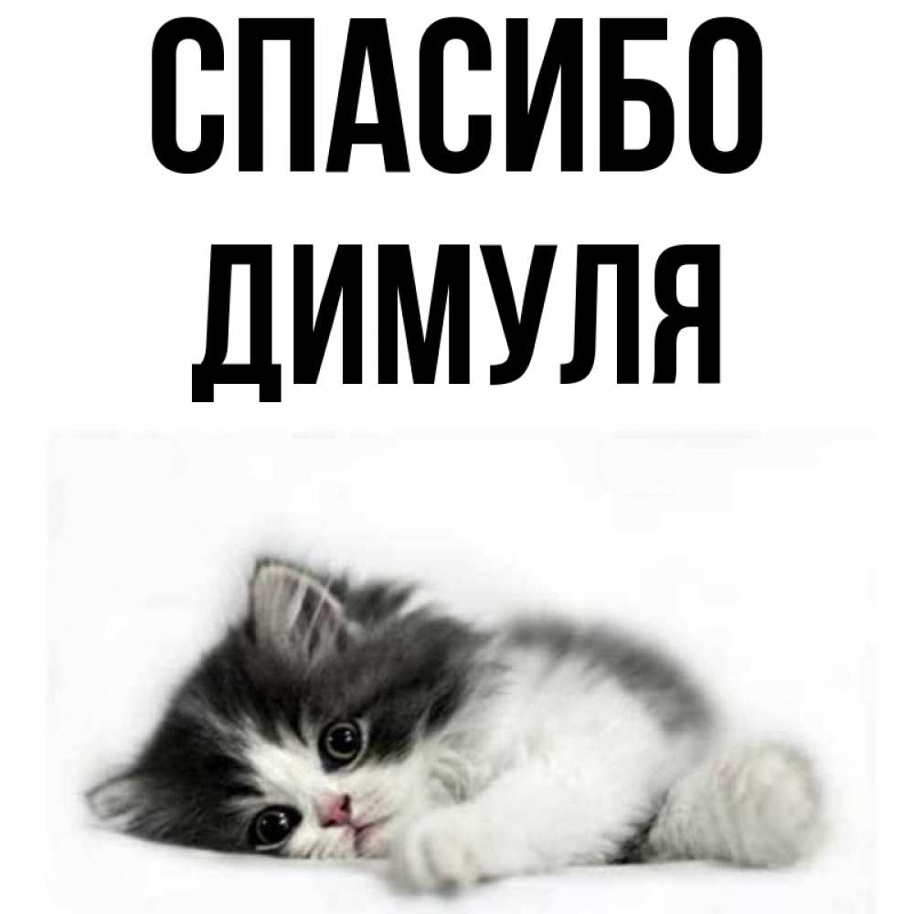 Доброе утро димуля картинки