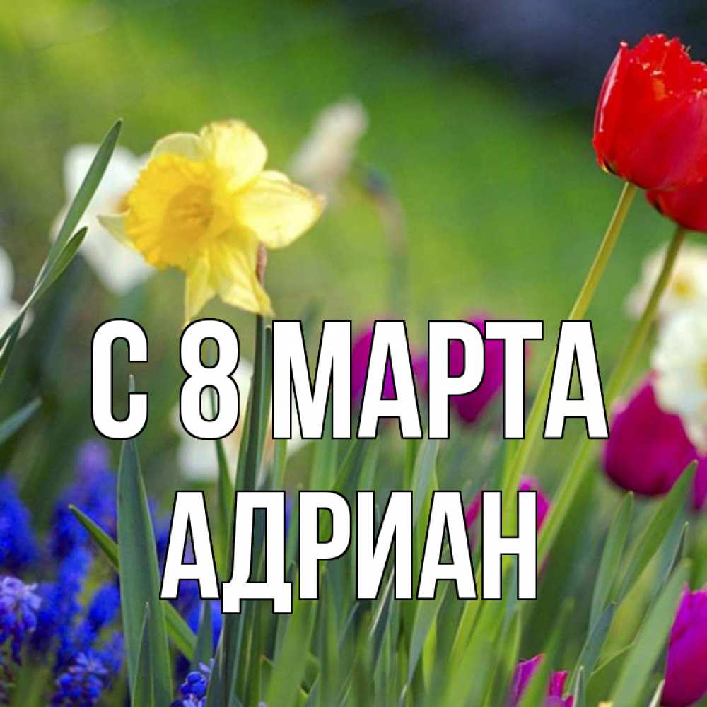 Открытка на каждый день с именем, Адриан С 8 МАРТА международный женский день 3 Прикольная открытка с пожеланием онлайн скачать бесплатно 