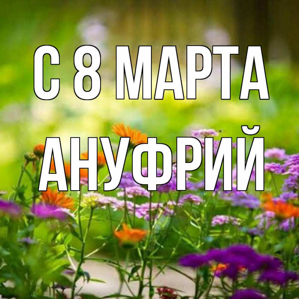 Открытка на каждый день с именем, Ануфрий С 8 марта цветы Прикольная открытка с пожеланием онлайн скачать бесплатно 