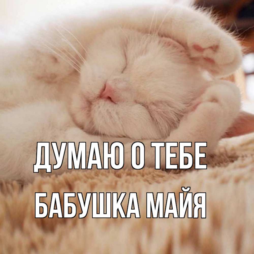 Открытка на каждый день с именем, Бабушка-Майя Думаю о тебе для любимой девушки милота Прикольная открытка с пожеланием онлайн скачать бесплатно 