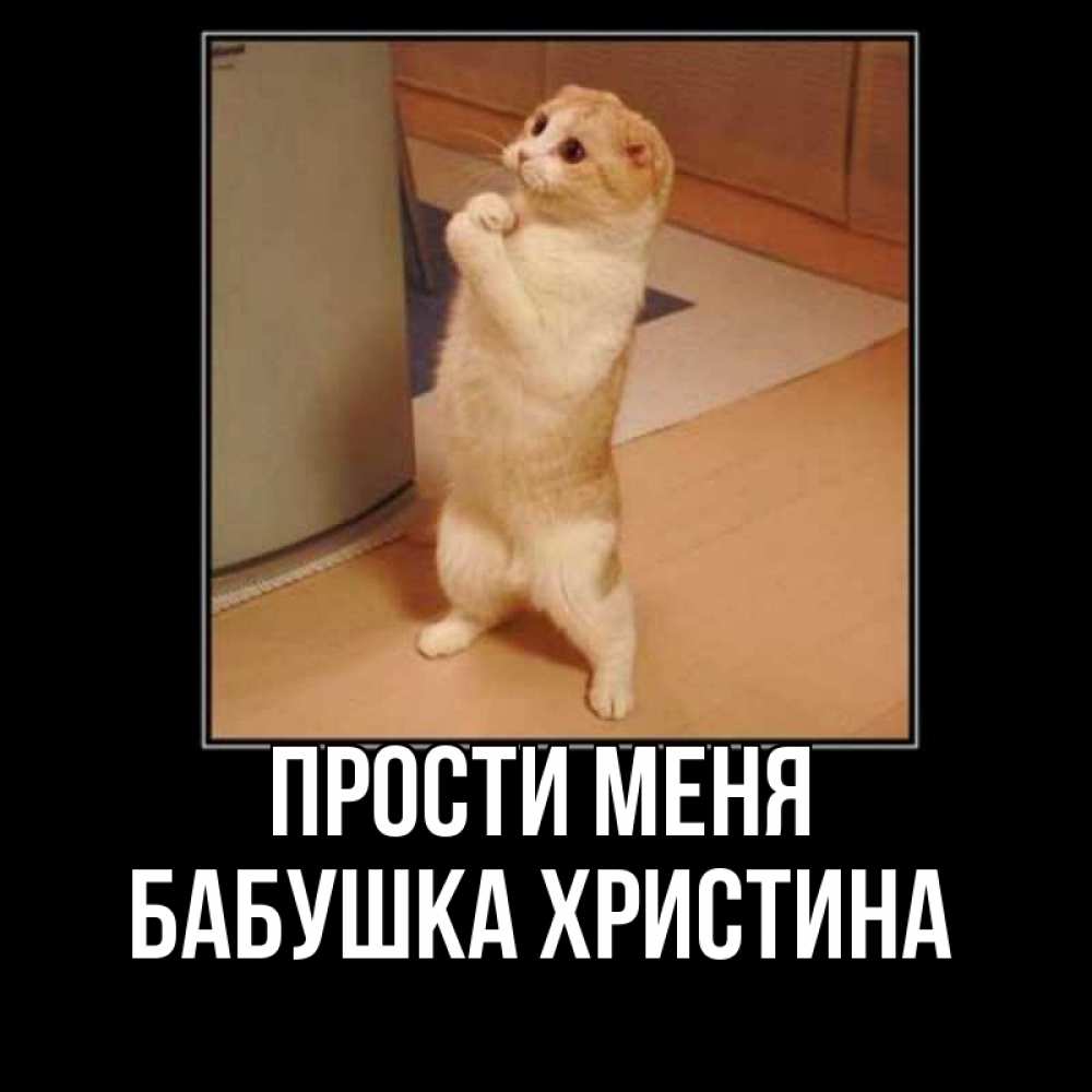 Открытка на каждый день с именем, Бабушка-Христина Прости меня открытка с милым несчастным котиком просящим прощения Прикольная открытка с пожеланием онлайн скачать бесплатно 