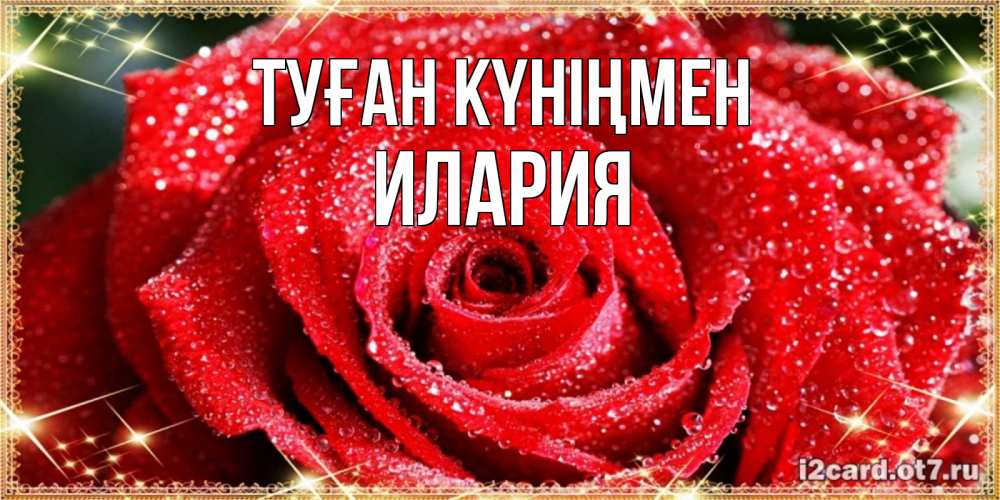 Открытка на каждый день с именем, Илария Туған күніңмен роса и роза. открытка с красивой розой Прикольная открытка с пожеланием онлайн скачать бесплатно 