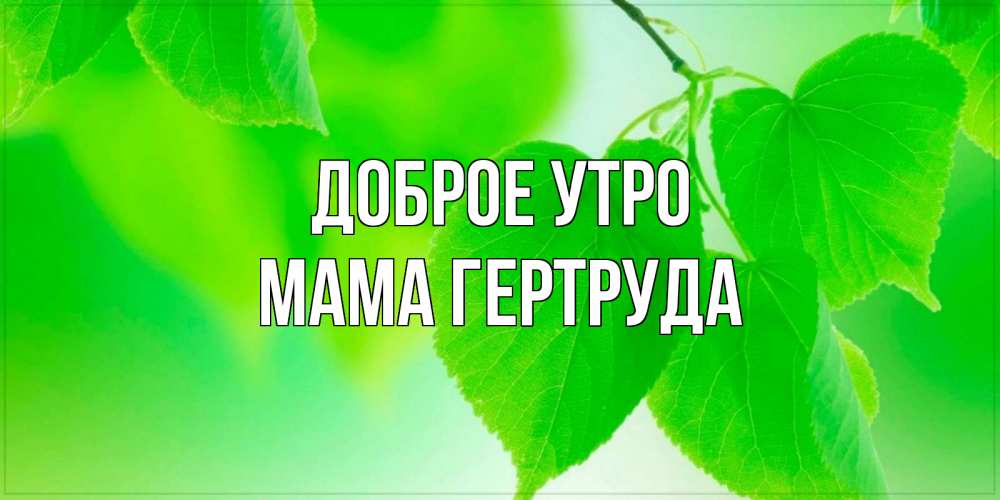 Открытка на каждый день с именем, Мама-Гертруда Доброе утро доброе утро с березовыми листьями Прикольная открытка с пожеланием онлайн скачать бесплатно 