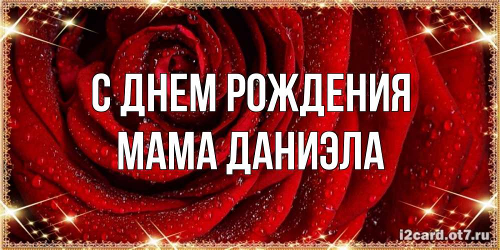 Открытка на каждый день с именем, Мама-Даниэла С днем рождения роса на розе блестящая в лучах солнца Прикольная открытка с пожеланием онлайн скачать бесплатно 