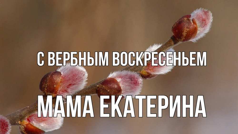 Открытка на каждый день с именем, Мама-Екатерина С вербным воскресеньем верба Прикольная открытка с пожеланием онлайн скачать бесплатно 