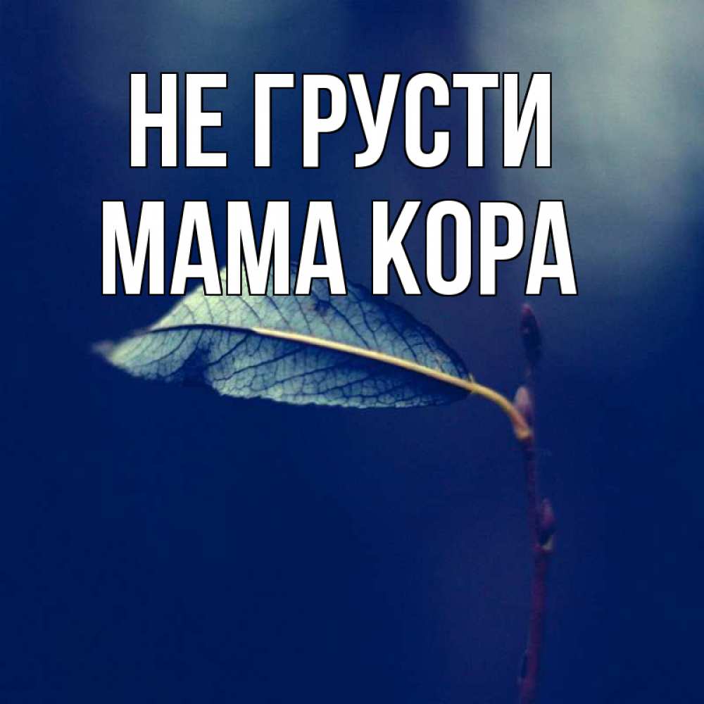 Открытка на каждый день с именем, Мама-Кора Не грусти растение Прикольная открытка с пожеланием онлайн скачать бесплатно 