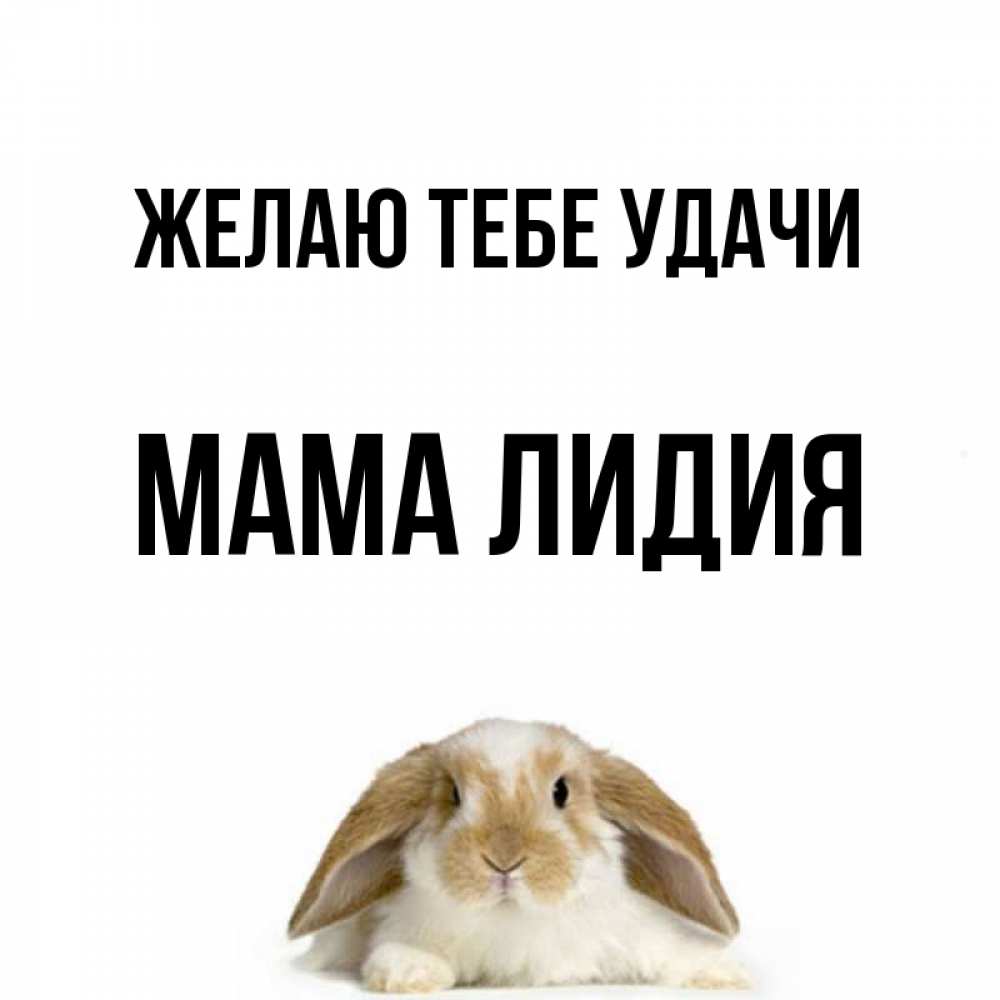 Открытка на каждый день с именем, Мама-Лидия Желаю тебе удачи открытки с произвольным текстом который можно вставить в открытку и создать ее самостоятельно бесплатно онлайн Прикольная открытка с пожеланием онлайн скачать бесплатно 
