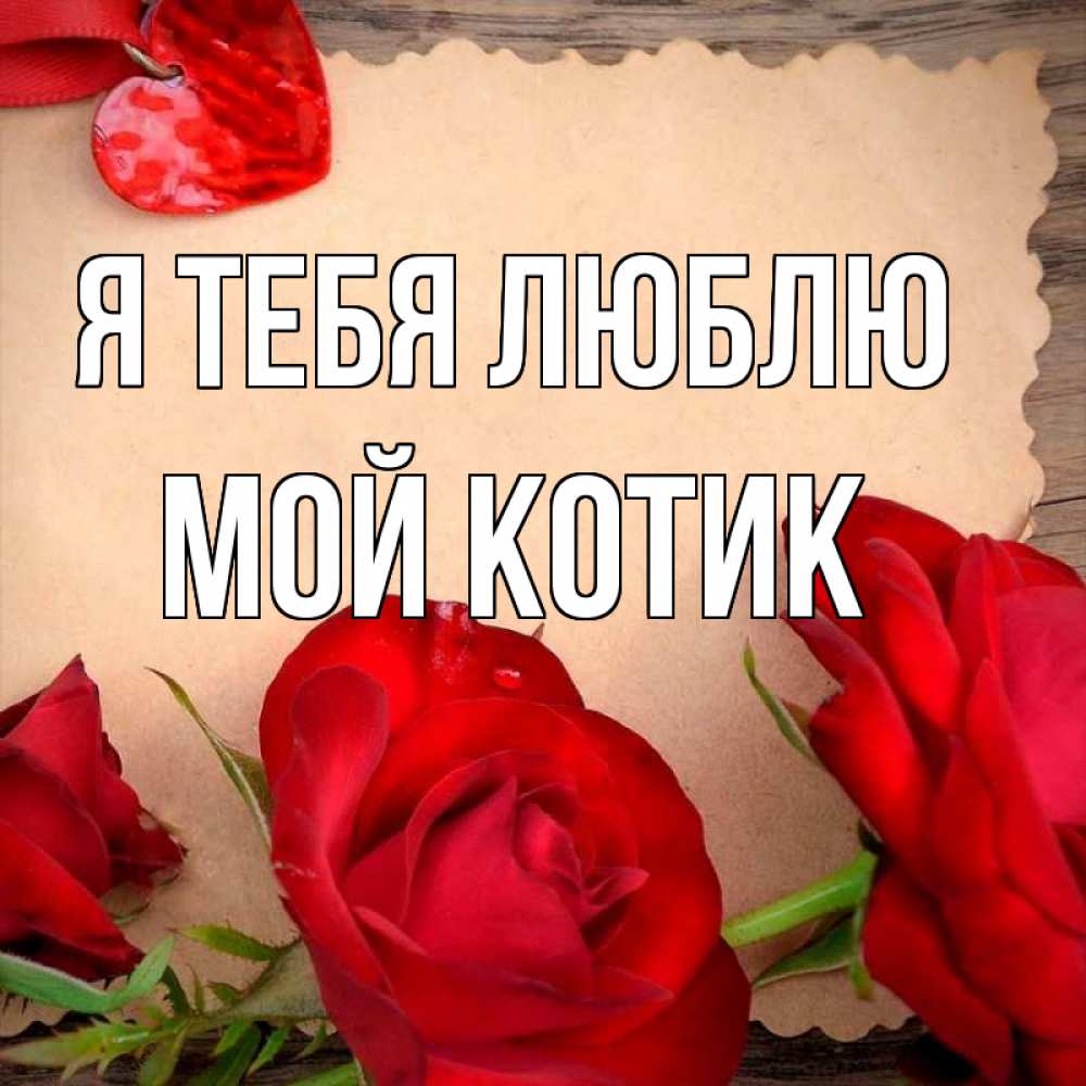 Открытка на каждый день с именем, Мой-Котик Я тебя люблю розы сердце 1 Прикольная открытка с пожеланием онлайн скачать бесплатно 