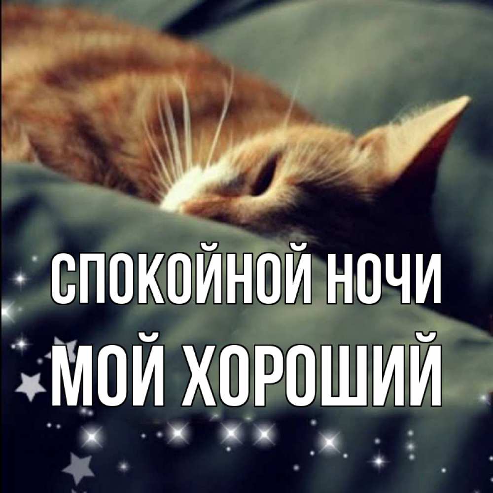 Открытка на каждый день с именем, Мой-хороший Спокойной ночи кроватка Прикольная открытка с пожеланием онлайн скачать бесплатно 