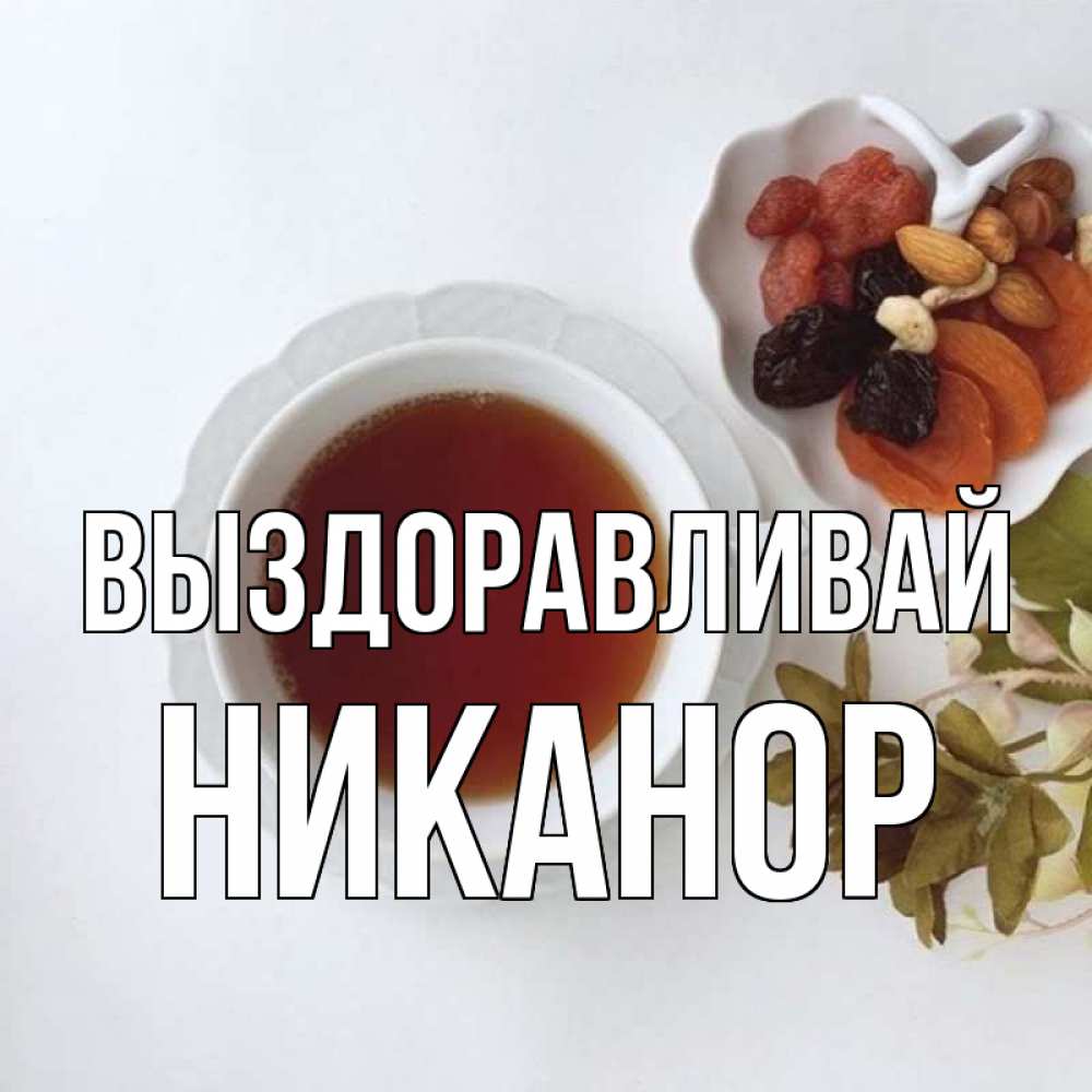 Открытка на каждый день с именем, Никанор Выздоравливай неизвестные растения Прикольная открытка с пожеланием онлайн скачать бесплатно 