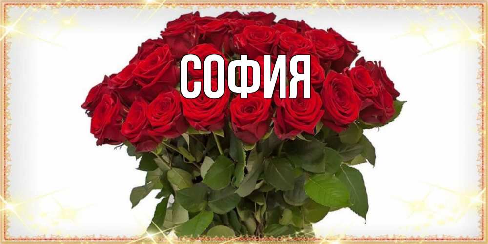 Открытка на каждый день с именем, София Главная поздравляю с 8 марта Прикольная открытка с пожеланием онлайн скачать бесплатно 
