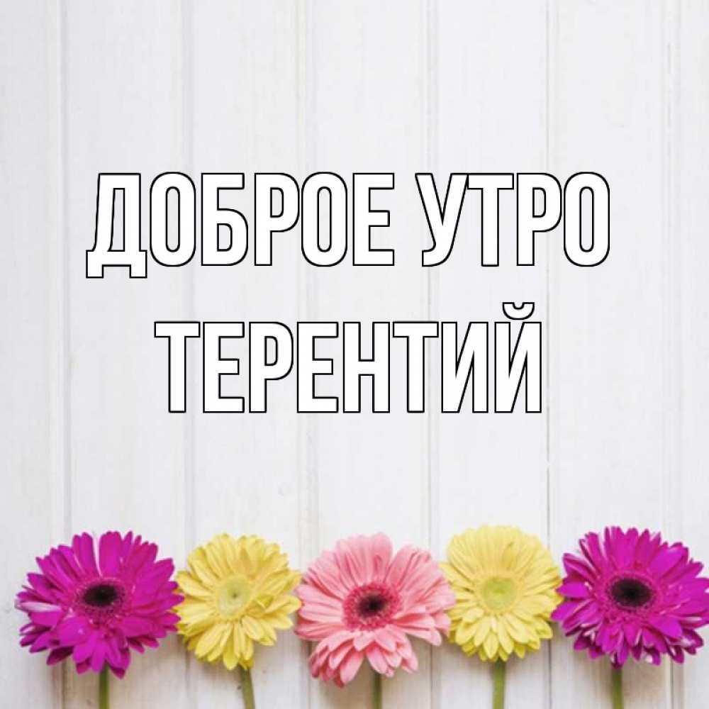 Открытка на каждый день с именем, Терентий Доброе утро красный желтый и розовый цветок Прикольная открытка с пожеланием онлайн скачать бесплатно 