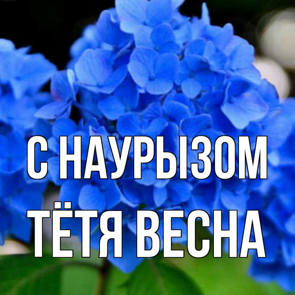 Открытка на каждый день с именем, Тётя-Весна С наурызом синие цветы Прикольная открытка с пожеланием онлайн скачать бесплатно 